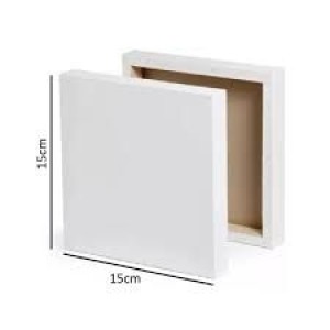 TELA P/PINTURA 15X15 TLP1515 BRANCA SPM