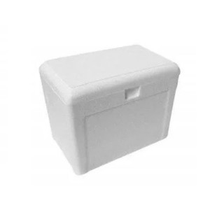 Caixa Termica 45L  CX-045 - Placterm