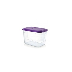 Container organizador tranparente 20LTS  121 - Rainha