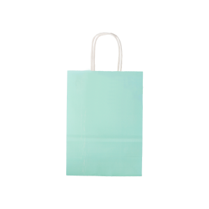 SACOLA PARA PRESENTE LISA 16CM X 8CM X 21CM RMT2307 COLOR RIO MASTER