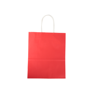 SACOLA PARA PRESENTE LISA 22CM X 11CM X 27CM RMT2308 COLOR RIO MASTER