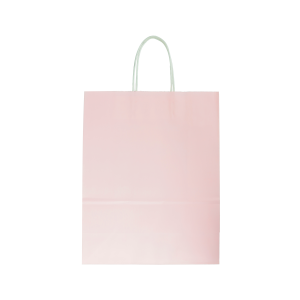 SACOLA PARA PRESENTE LISA 21CM X 12CM X 33CM RMT2309 COLOR RIO MASTER